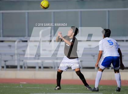 Thumbnail 2 in Kennedy vs. Poly photogallery.