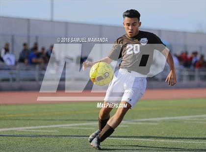 Thumbnail 1 in Kennedy vs. Poly photogallery.