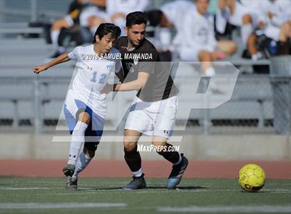 Thumbnail 2 in Kennedy vs. Poly photogallery.