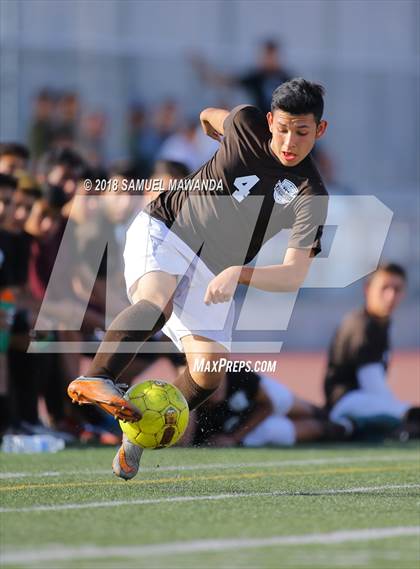 Thumbnail 1 in Kennedy vs. Poly photogallery.