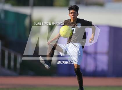 Thumbnail 3 in Kennedy vs. Poly photogallery.