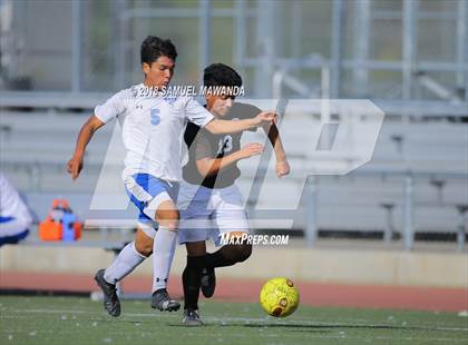 Thumbnail 2 in Kennedy vs. Poly photogallery.