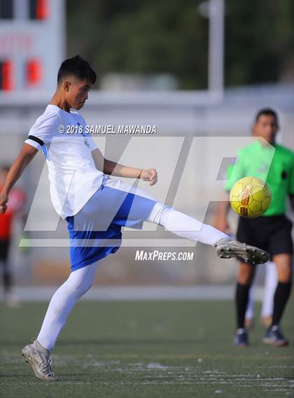 Thumbnail 2 in Kennedy vs. Poly photogallery.