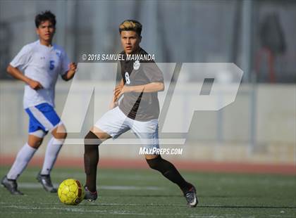 Thumbnail 3 in Kennedy vs. Poly photogallery.