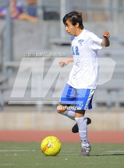 Thumbnail 1 in Kennedy vs. Poly photogallery.