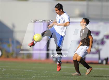 Thumbnail 3 in Kennedy vs. Poly photogallery.