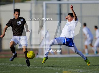 Thumbnail 1 in Kennedy vs. Poly photogallery.