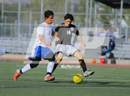 Thumbnail 1 in Kennedy vs. Poly photogallery.