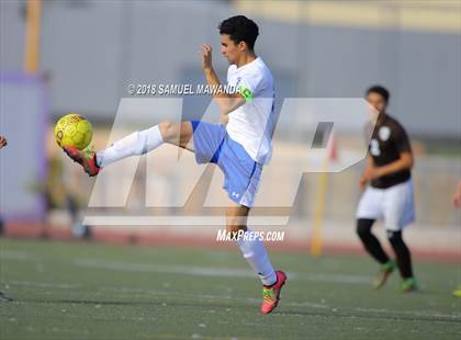 Thumbnail 2 in Kennedy vs. Poly photogallery.