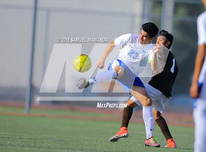 Thumbnail 1 in Kennedy vs. Poly photogallery.