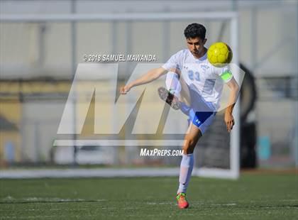 Thumbnail 2 in Kennedy vs. Poly photogallery.