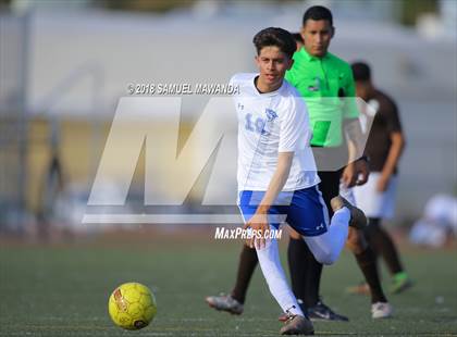 Thumbnail 1 in Kennedy vs. Poly photogallery.