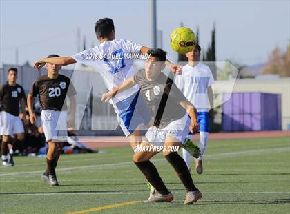 Thumbnail 1 in Kennedy vs. Poly photogallery.