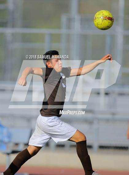 Thumbnail 3 in Kennedy vs. Poly photogallery.