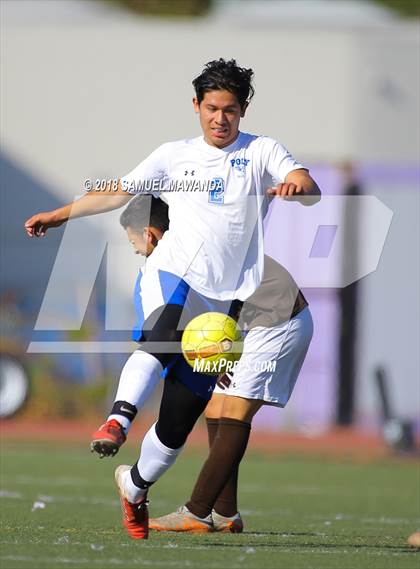 Thumbnail 2 in Kennedy vs. Poly photogallery.