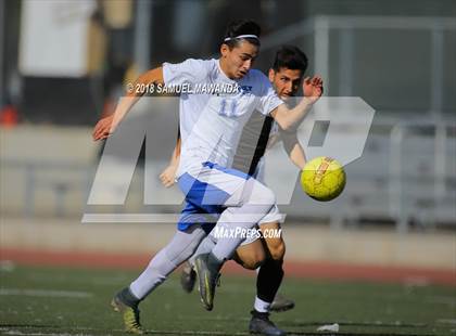 Thumbnail 3 in Kennedy vs. Poly photogallery.