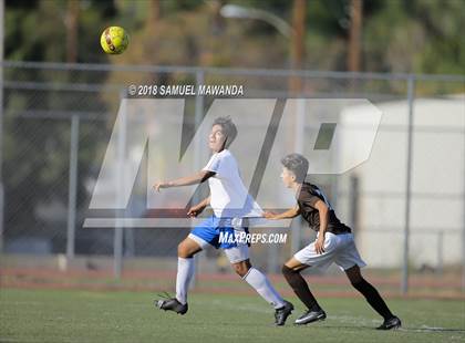 Thumbnail 2 in Kennedy vs. Poly photogallery.