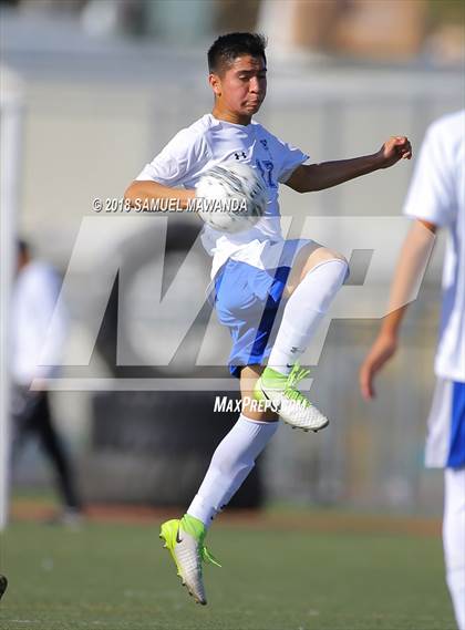 Thumbnail 3 in Kennedy vs. Poly photogallery.