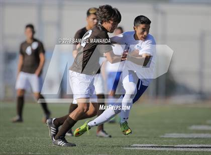 Thumbnail 3 in Kennedy vs. Poly photogallery.