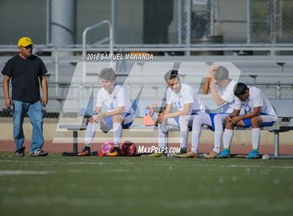 Thumbnail 3 in Kennedy vs. Poly photogallery.