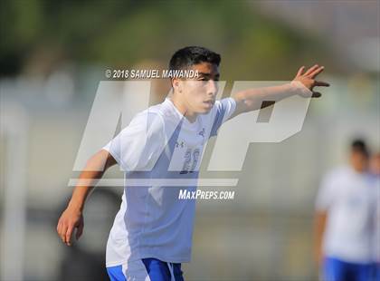 Thumbnail 2 in Kennedy vs. Poly photogallery.