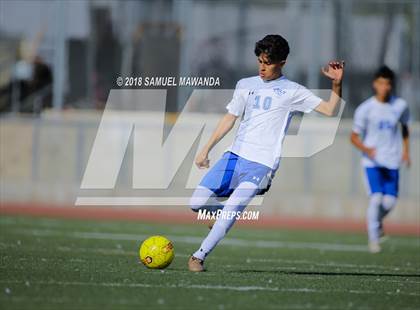 Thumbnail 2 in Kennedy vs. Poly photogallery.