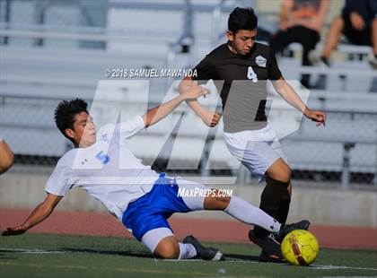 Thumbnail 1 in Kennedy vs. Poly photogallery.