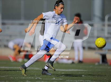 Thumbnail 3 in Kennedy vs. Poly photogallery.