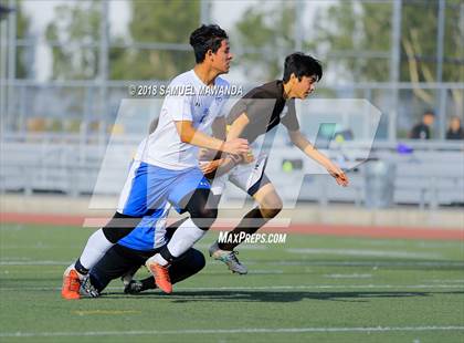 Thumbnail 2 in Kennedy vs. Poly photogallery.