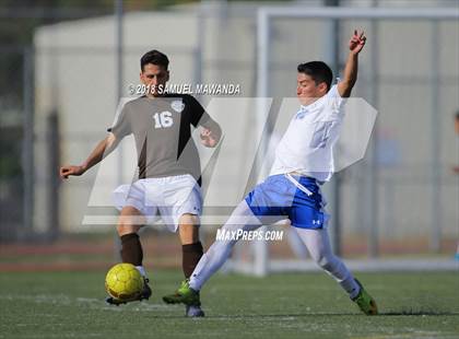 Thumbnail 2 in Kennedy vs. Poly photogallery.