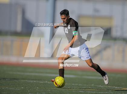 Thumbnail 1 in Kennedy vs. Poly photogallery.