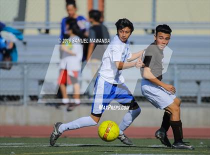 Thumbnail 1 in Kennedy vs. Poly photogallery.