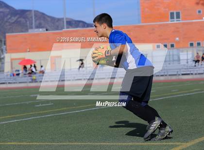 Thumbnail 3 in Kennedy vs. Poly photogallery.