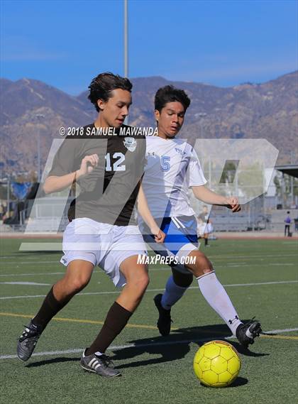 Thumbnail 3 in Kennedy vs. Poly photogallery.