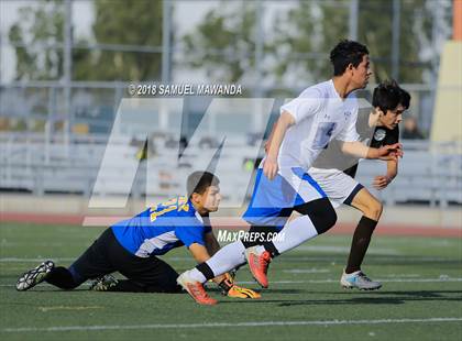 Thumbnail 3 in Kennedy vs. Poly photogallery.