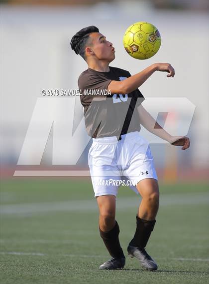 Thumbnail 2 in Kennedy vs. Poly photogallery.