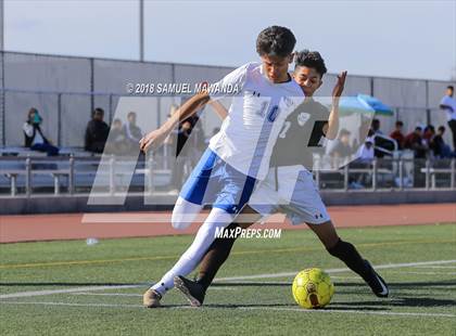 Thumbnail 2 in Kennedy vs. Poly photogallery.