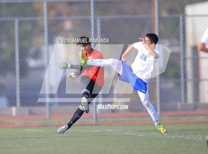 Thumbnail 1 in Kennedy vs. Poly photogallery.