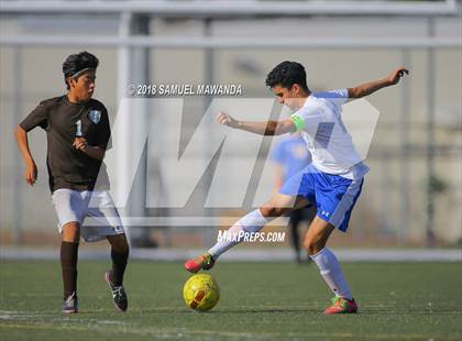 Thumbnail 1 in Kennedy vs. Poly photogallery.