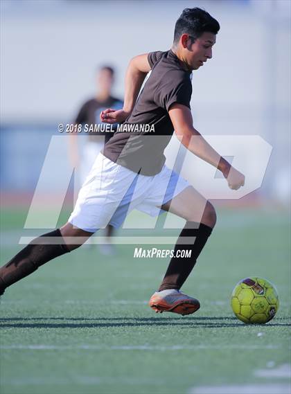 Thumbnail 3 in Kennedy vs. Poly photogallery.