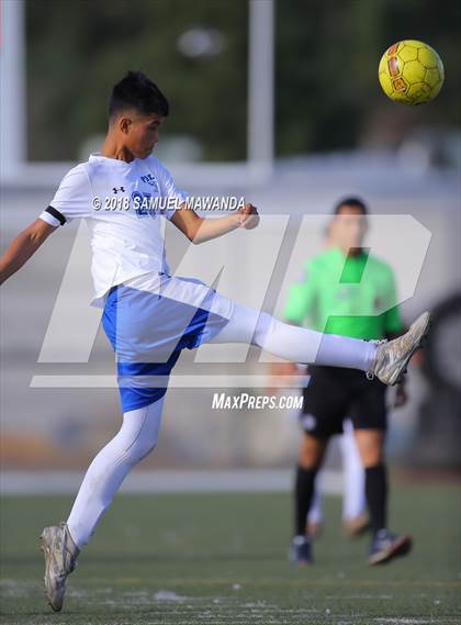 Thumbnail 3 in Kennedy vs. Poly photogallery.