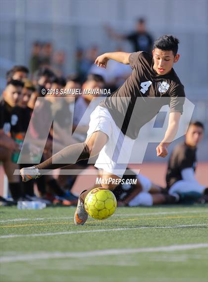 Thumbnail 3 in Kennedy vs. Poly photogallery.