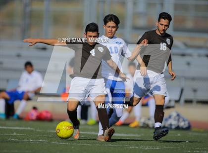 Thumbnail 3 in Kennedy vs. Poly photogallery.