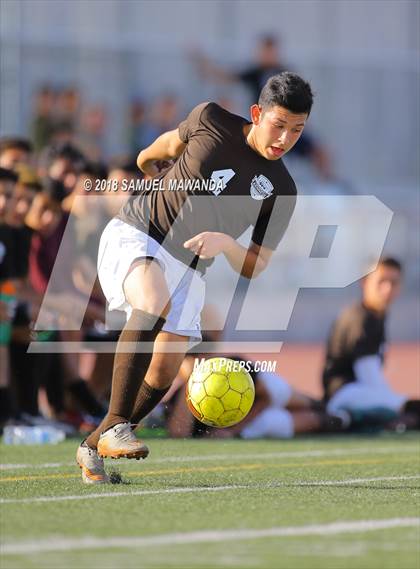 Thumbnail 2 in Kennedy vs. Poly photogallery.