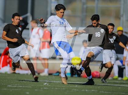 Thumbnail 1 in Kennedy vs. Poly photogallery.