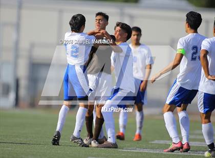 Thumbnail 3 in Kennedy vs. Poly photogallery.