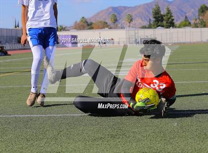 Thumbnail 1 in Kennedy vs. Poly photogallery.