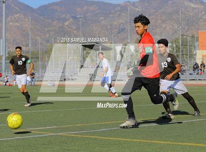 Thumbnail 3 in Kennedy vs. Poly photogallery.