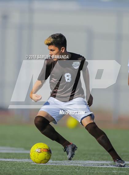 Thumbnail 1 in Kennedy vs. Poly photogallery.