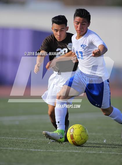 Thumbnail 3 in Kennedy vs. Poly photogallery.